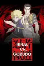 Ninja vs. Gokudo